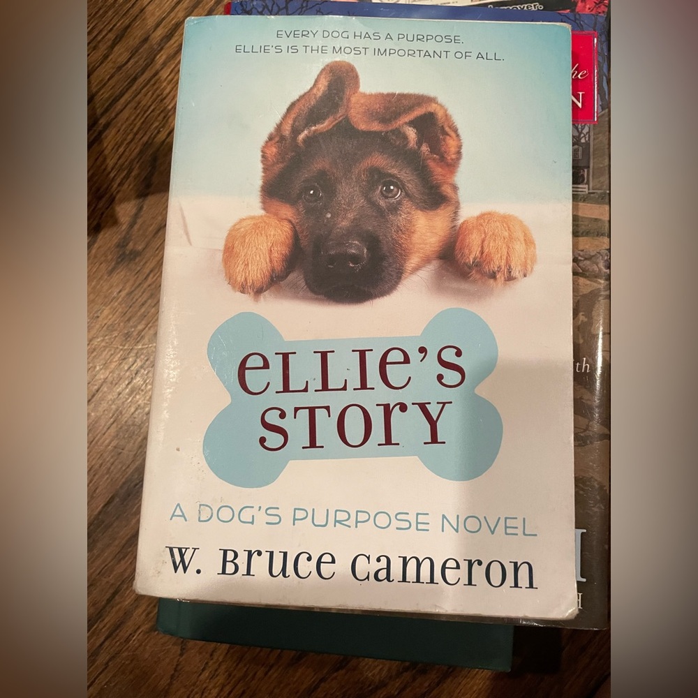 Ellie’s story